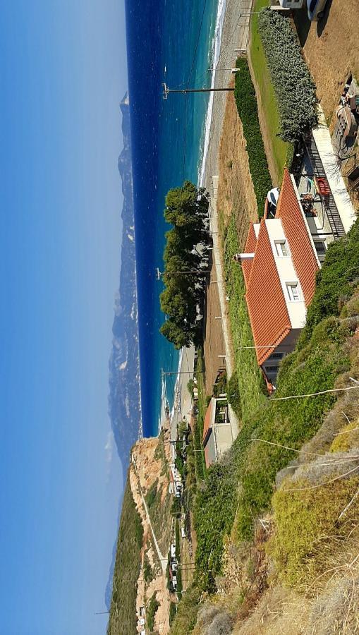 Villa Dimitra Mourteri Exteriör bild